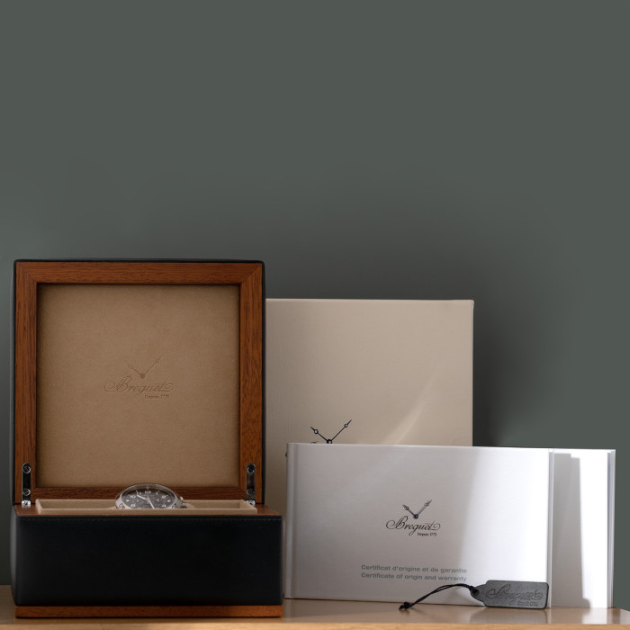 Breguet Type XXI Ref. 3810ST