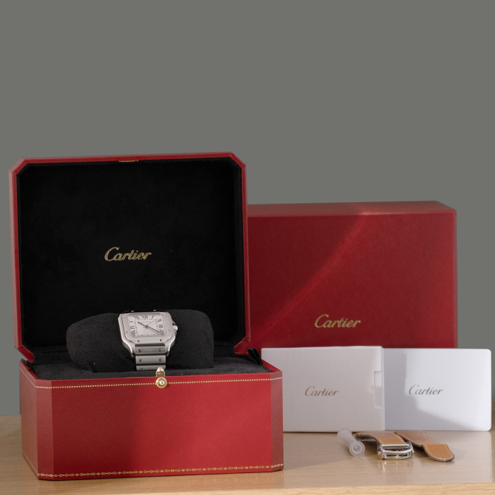 Cartier Santos De Cartier Ref. WSSA0029