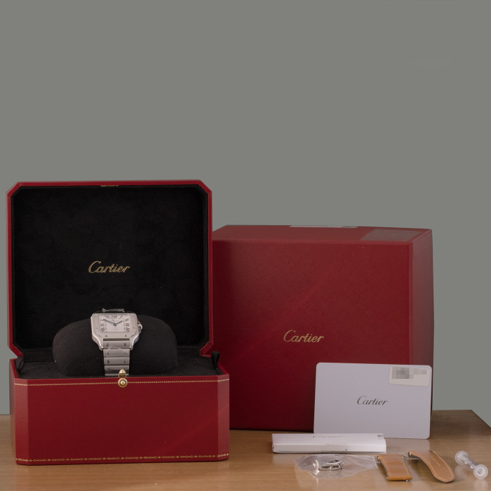 Cartier Santos De Cartier Ref. WSSA0029