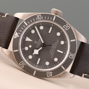 Tudor Black Bay Fifty-Eight Ref. 79010SG