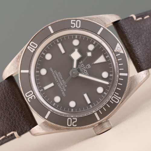 Tudor Black Bay Fifty-Eight Ref. 79010SG